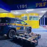 PRF apreende mais de 280 quilos de drogas em ações na BR-364 em Mato Grosso