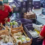 Pronaf recebe R$ 85,2 bilhões no Plano Safra da Agricultura Familiar 2026/2027