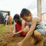 Natureza inspira projeto premiado que transforma escola rural em espaço de aprendizagem