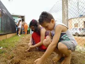 Natureza inspira projeto premiado que transforma escola rural em espaço de aprendizagem