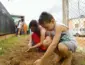 Natureza inspira projeto premiado que transforma escola rural em espaço de aprendizagem