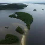 Carbono azul ganha destaque na agenda climática dos oceanos