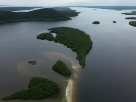 Carbono azul ganha destaque na agenda climática dos oceanos