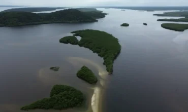 Carbono azul ganha destaque na agenda climática dos oceanos