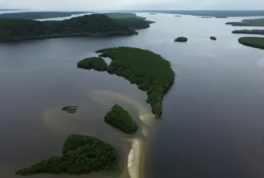 Carbono azul ganha destaque na agenda climática dos oceanos