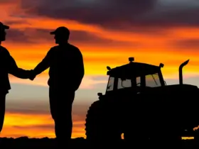 Compra de fazendas em Mato Grosso gera disputa entre SLC Agrícola e Grupo Bom Futuro