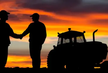 Compra de fazendas em Mato Grosso gera disputa entre SLC Agrícola e Grupo Bom Futuro