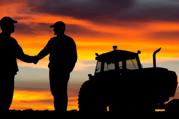 Compra de fazendas em Mato Grosso gera disputa entre SLC Agrícola e Grupo Bom Futuro