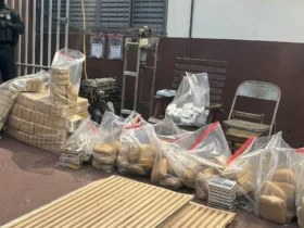 Apreensão de drogas em Diamantino: PRF e PM atuam na BR-364