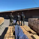 Operação Timber Shield intercepta madeira com cocaína líquida em Cáceres; carga pode ser a maior da história do país