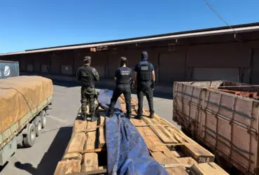 Foto de policias em cima das ripas de madeira apreendidas