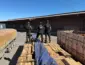Operação Timber Shield intercepta madeira com cocaína líquida em Cáceres; carga pode ser a maior da história do país