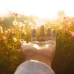 Assim será o domingo, 28 de junho, para Áries, Touro, Gêmeos, Câncer, Leão, Virgem, Libra, Escorpião, Sagitário, Capricórnio, Aquário e Peixes