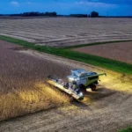 Brasil lidera produção mundial de soja e responde sozinho por 40% de toda a safra global