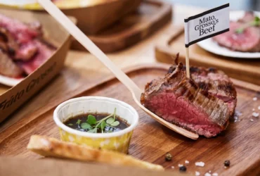 Carne de mato grosso