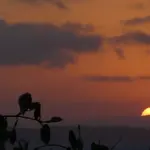 O céu desta semana: os movimentos dos astros que podem influenciar os 12 signos entre 29 de junho e 5 de julho