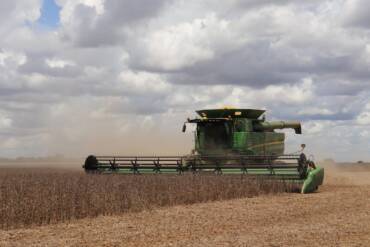 Top 10% dos produtores de Mato Grosso lucram 89% mais que a média reduzindo custos em até 31%