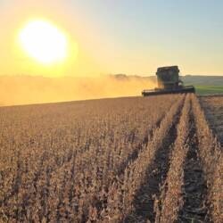 Pequeno produtor rural operando trator agrícola moderno em lavoura de milho safrinha em Lucas do Rio Verde, Mato Grosso, durante período de colheita e planejamento de safra.
