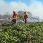 CBMMT divulga resultado de seletivo para brigadistas em MT