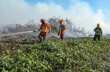 Bombeiros apagando incêndio no pantanal