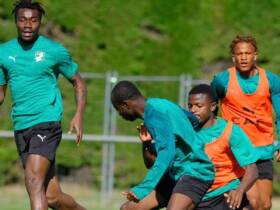 Costa do Marfim x Equador: onde assistir e tudo sobre o duelo que pode decidir o Grupo E. Imagem: Seleção da Costa do Marfim