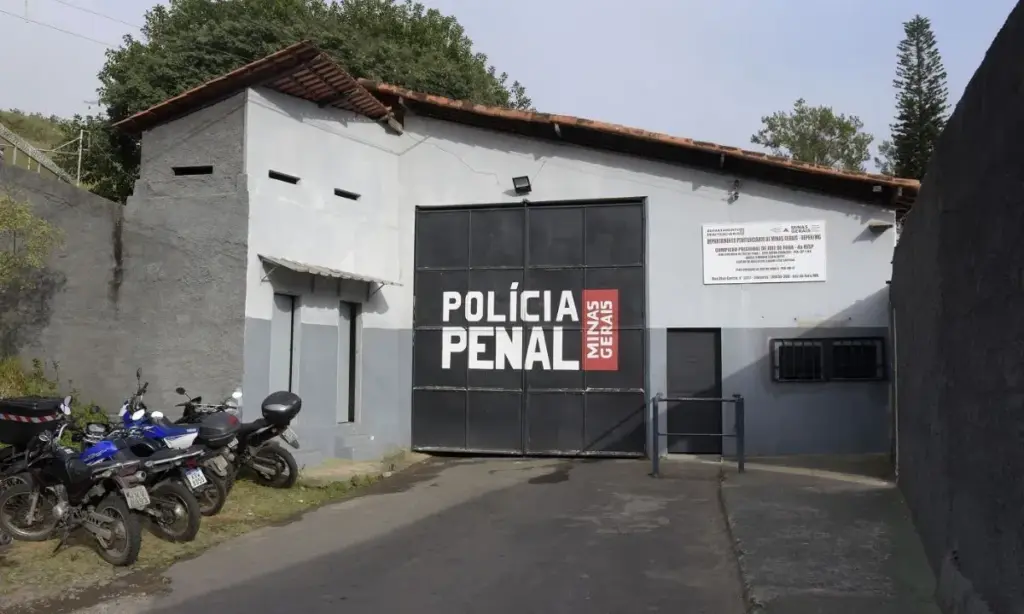 Pitbull agredido a pauladas leva homem à prisão em Juiz de Fora