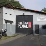 Pitbull agredido a pauladas leva homem à prisão em Juiz de Fora