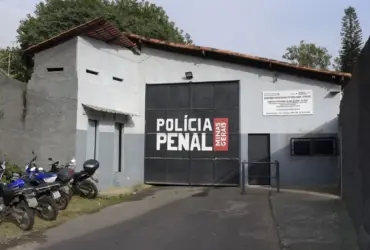 Pitbull agredido a pauladas leva homem à prisão em Juiz de Fora
