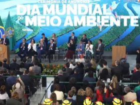 Meio ambiente ganha novas áreas protegidas e investimentos para recuperação florestal