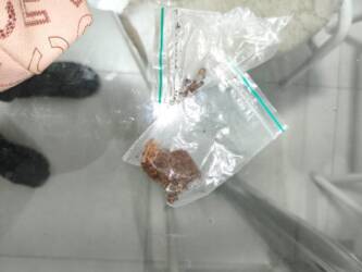 Droga apreendida na operação Valquíria