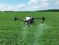 Estudo revela que 45% dos produtores rurais de Mato Grosso já são inovadores, mas digitalização ainda limita avanço no campo