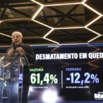 Desmatamento na Amazônia registra queda histórica em maio de 2026