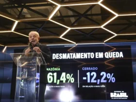 Desmatamento na Amazônia registra queda histórica em maio de 2026