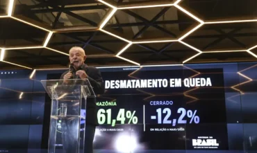 Desmatamento na Amazônia registra queda histórica em maio de 2026