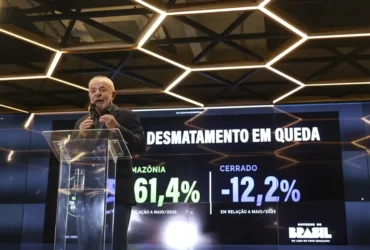 Desmatamento na Amazônia registra queda histórica em maio de 2026