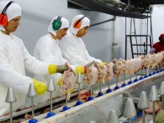 Frango2 e1502282328483
