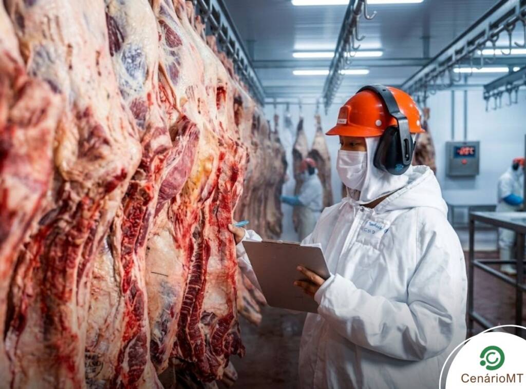Mato Grosso responde por 13% da carne bovina produzida no Brasil