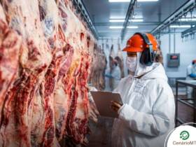 Homem chinês trabalhando com carne bovina em Frigorífico