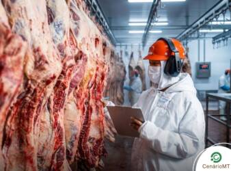 Homem chinês trabalhando com carne bovina em Frigorífico