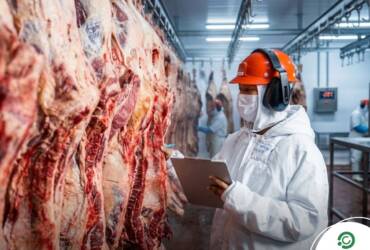 Homem chinês trabalhando com carne bovina em Frigorífico
