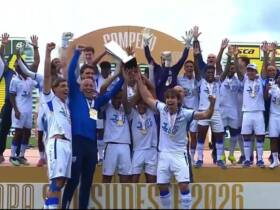 Com vitória nos pênaltis, Avaí é o primeiro campeão da Copa Sul-Sudeste; veja a premiação