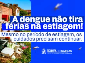 índice do Aedes aegypti