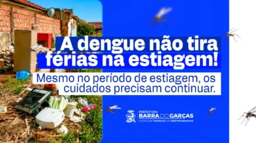 índice do Aedes aegypti