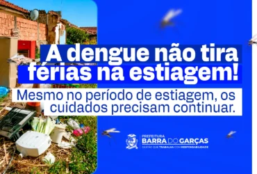 índice do Aedes aegypti