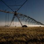 Nova regra amplia horário de desconto em energia para produtores que usam irrigação