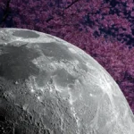 Qual é a fase da Lua hoje, 2 de junho de 2026? Veja como observar a Lua Cheia no céu de Mato Grosso nesta terça-feira