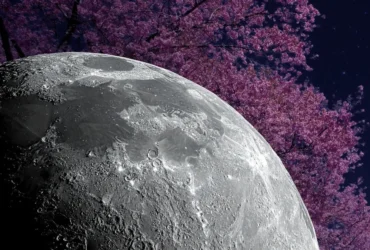 Qual a fase da Lua nesta terça-feira (2)? Veja o calendário lunar de junho