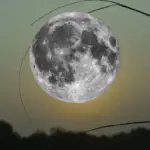 Lua hoje (23/06): A Lua Nova fortalece os novos começos e abre caminho para decisões importantes