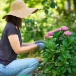 Jardinagem: os 3 signos do zodíaco que fazem qualquer planta prosperar