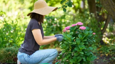 Jardinagem: os 3 signos do zodíaco que fazem qualquer planta prosperar